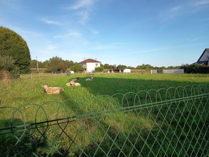 Image de terrain à Lamarque-Pontacq