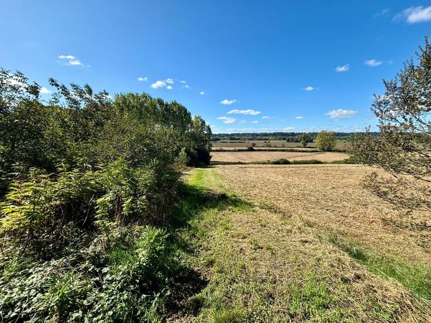 Image de terrain à Escatalens