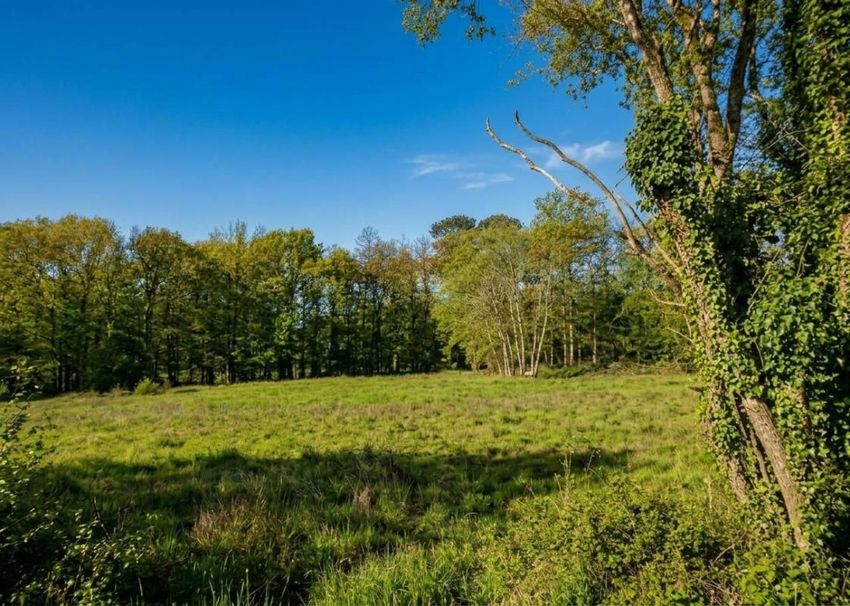 Image de terrain à Sallebœuf