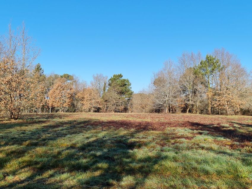 Image de terrain à Saint-Laurent-des-Hommes