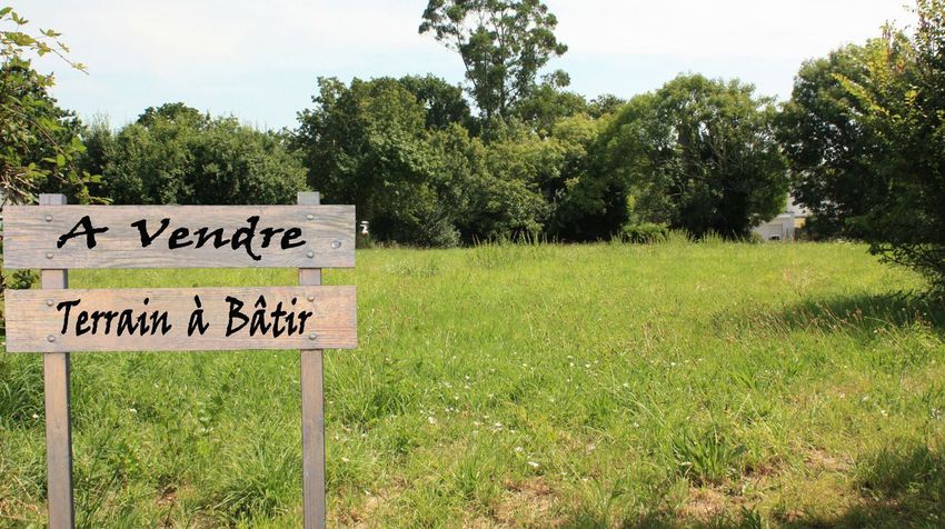 Image de terrain à Bouin