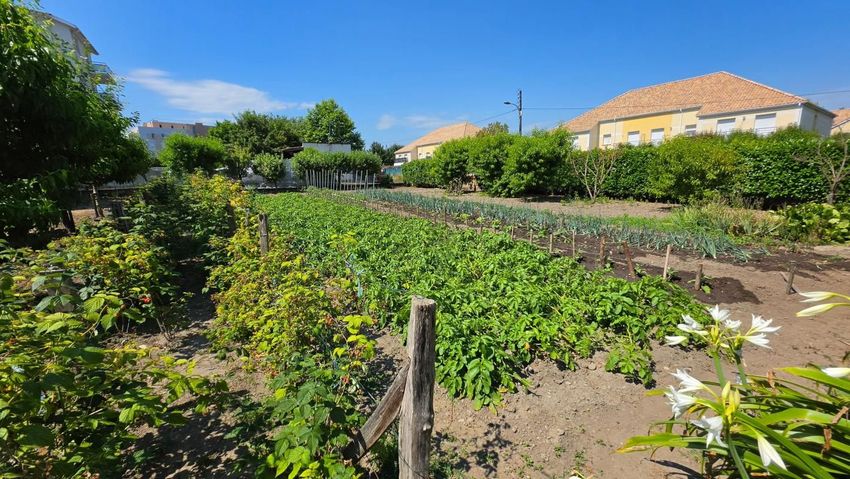 Image de terrain à Pau