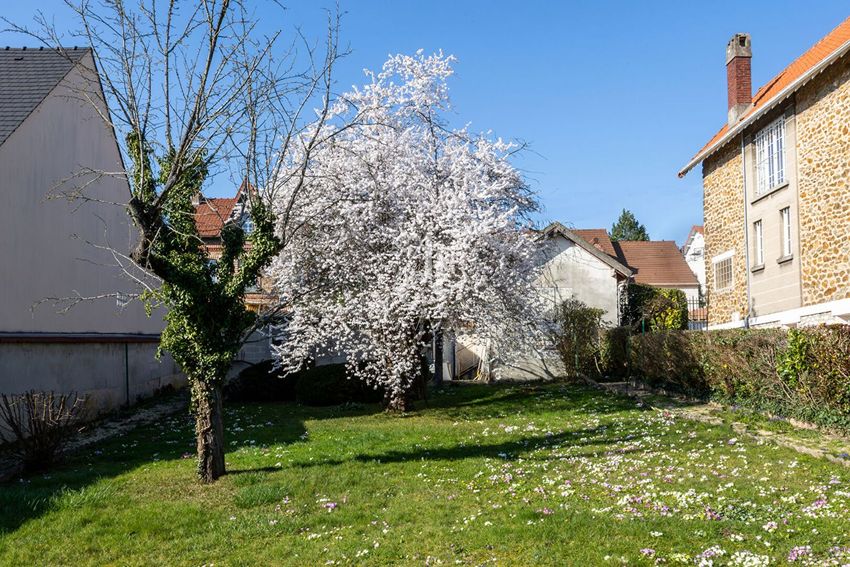 Image de terrain à Esbly