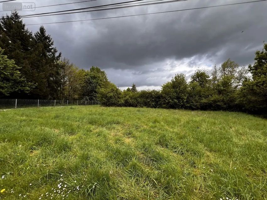 Image de terrain à Seigy