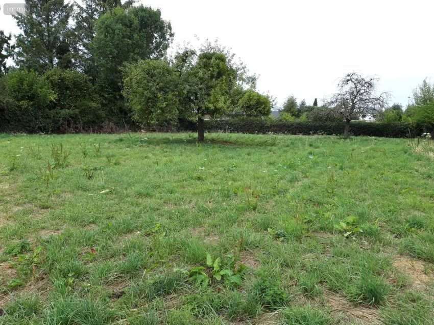 Image de terrain à Saint-Georges-sur-Fontaine