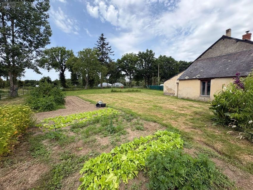 Image Jardin à  maison individuelle de Saint-Méen-le-Grand