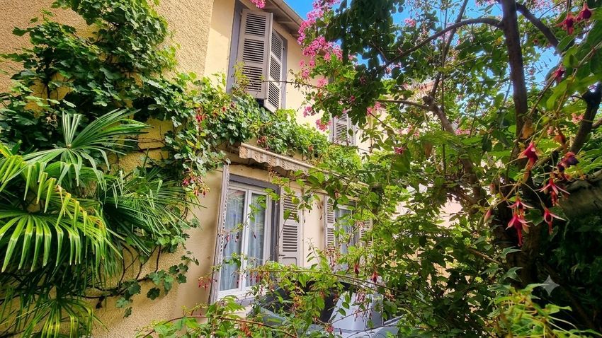 Image Façade à  maison mitoyenne de Pau