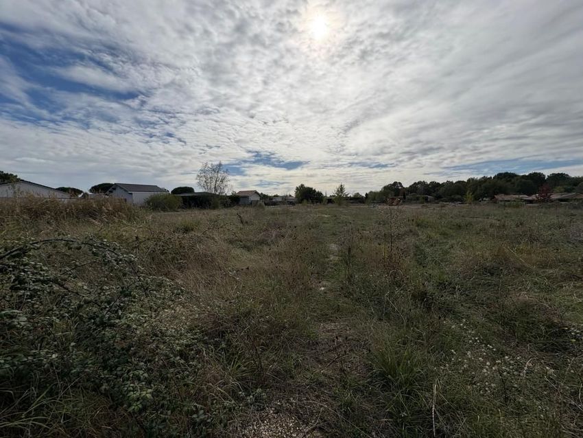 Image Vue à terrain de Loupes