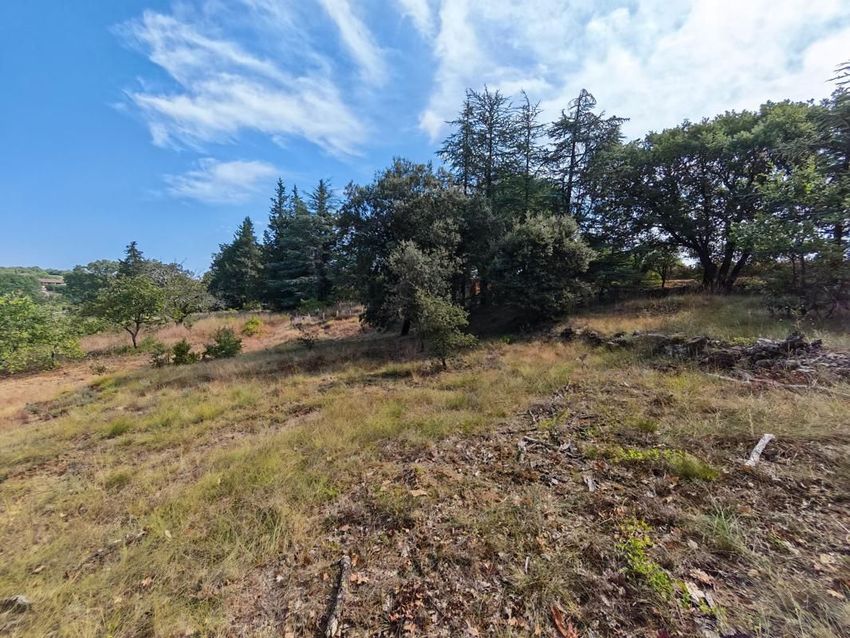 Image de terrain à Barjac