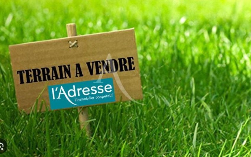 Image de terrain à Montreuil