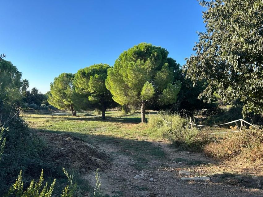 Image de terrain à Aigues-Vives