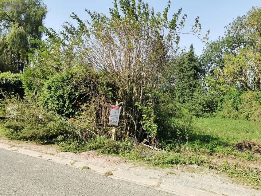 Image de terrain à Boiry-Becquerelle