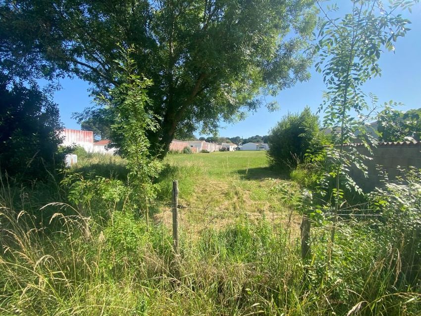 Image de terrain à Le Grand-Village-Plage
