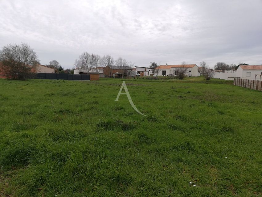 Image de terrain à Le Champ-Saint-Père