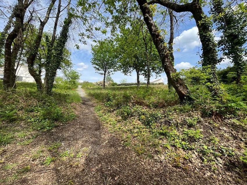 Image de terrain à Rion-des-Landes