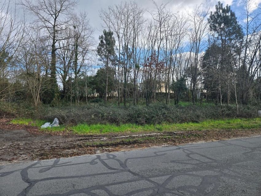 Image de terrain à Léognan