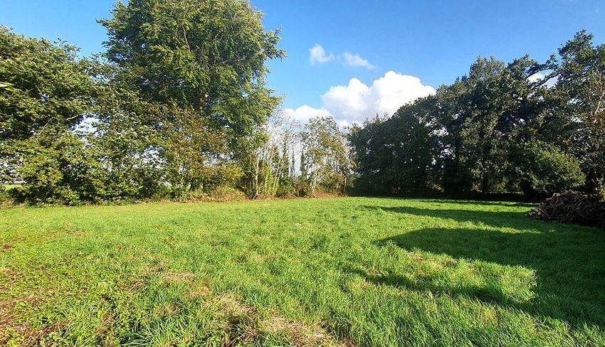Image de terrain à Locunolé