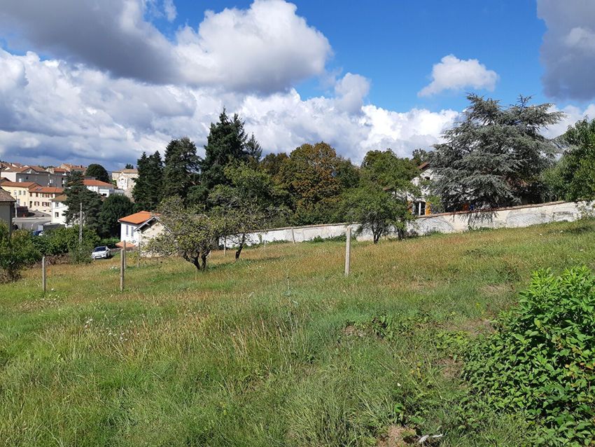 Image de terrain à Monistrol-sur-Loire