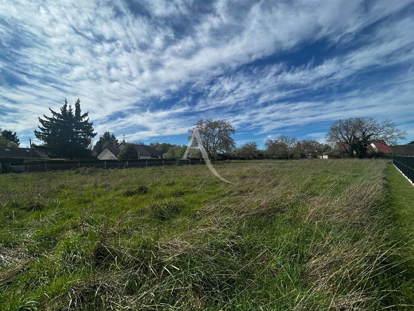 Image de terrain à Le Controis-en-Sologne