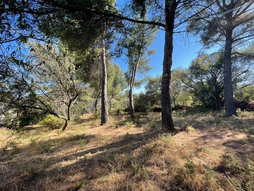 Image de terrain à Six-Fours-les-Plages