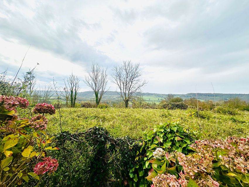 Image Jardin à  maison individuelle de Manneville-la-Pipard