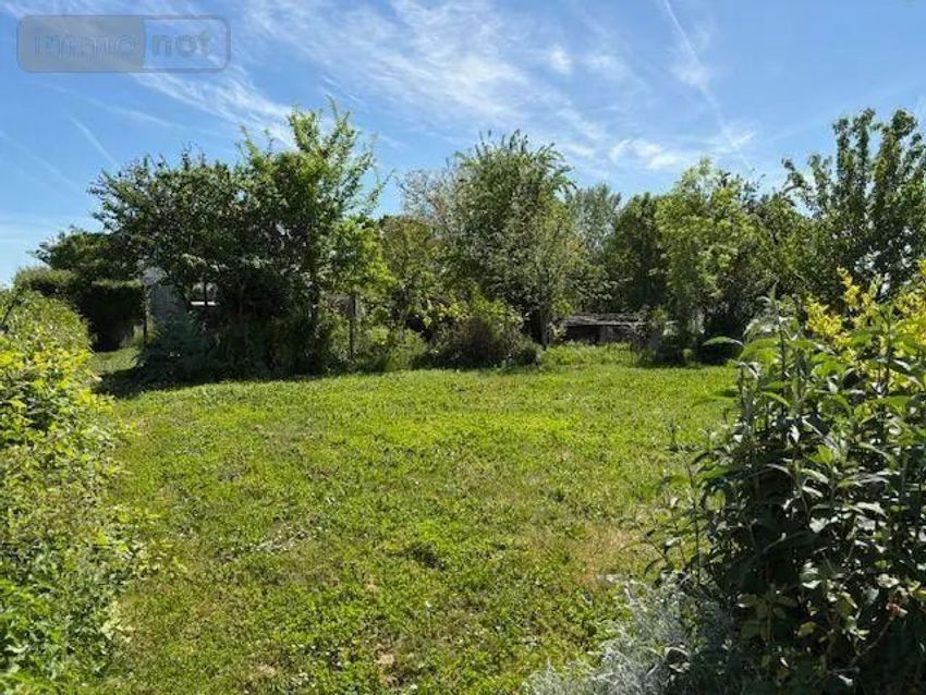 Image de terrain à Saillat-sur-Vienne