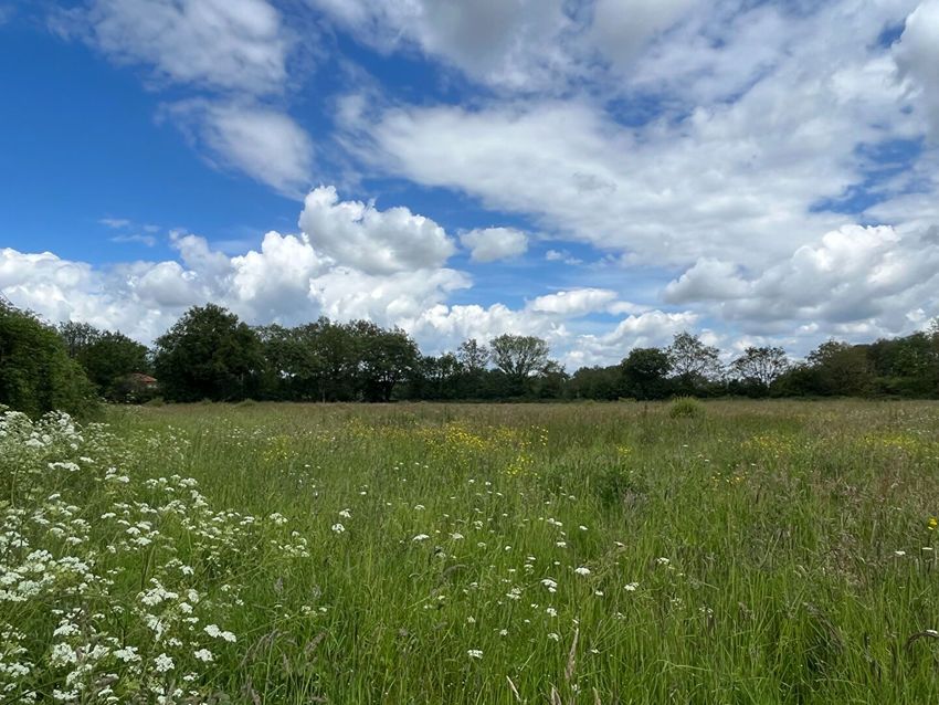 Image Vue à terrain de Le Cellier