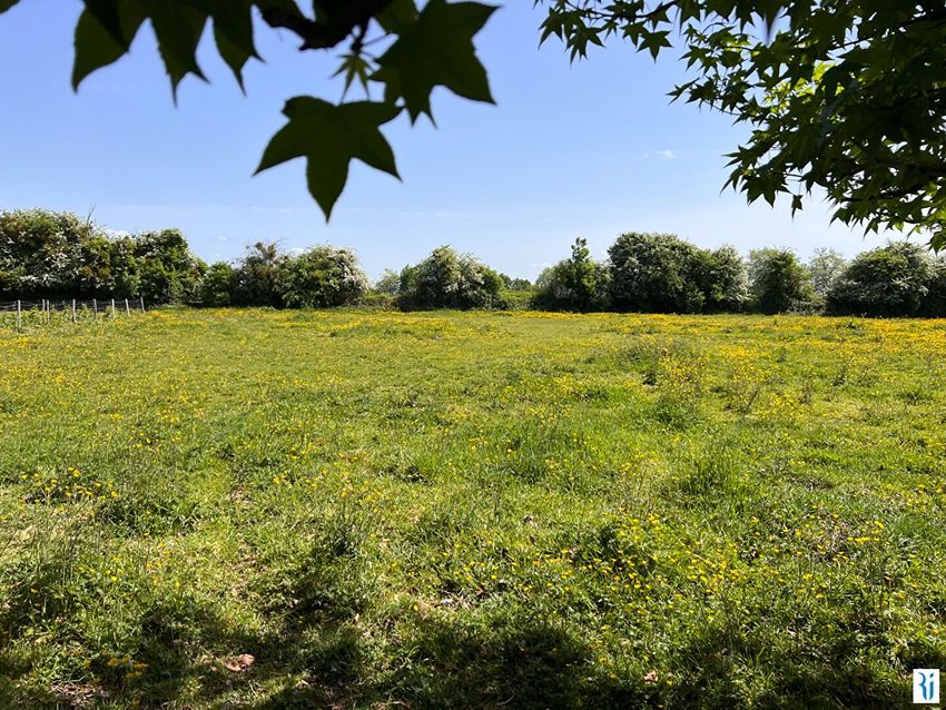 Image de terrain à Isneauville