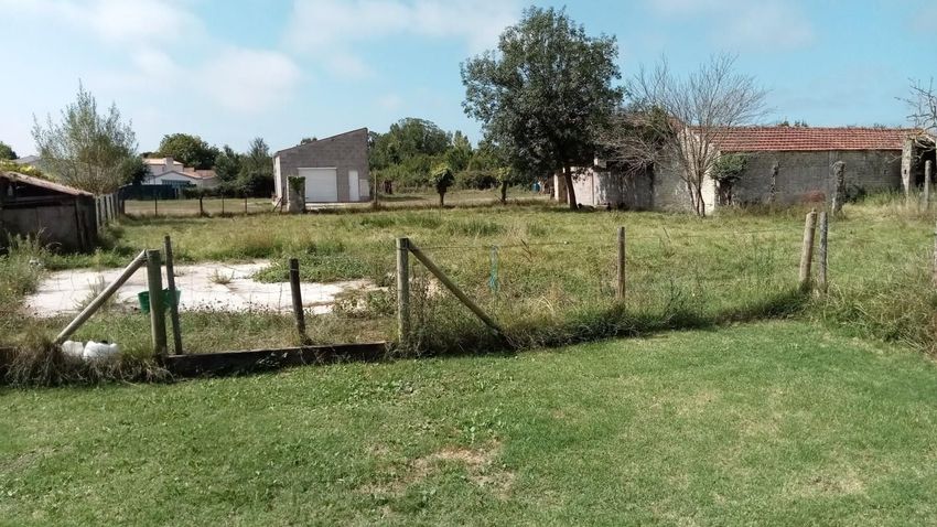 Image de terrain à Le Château-d'Oléron