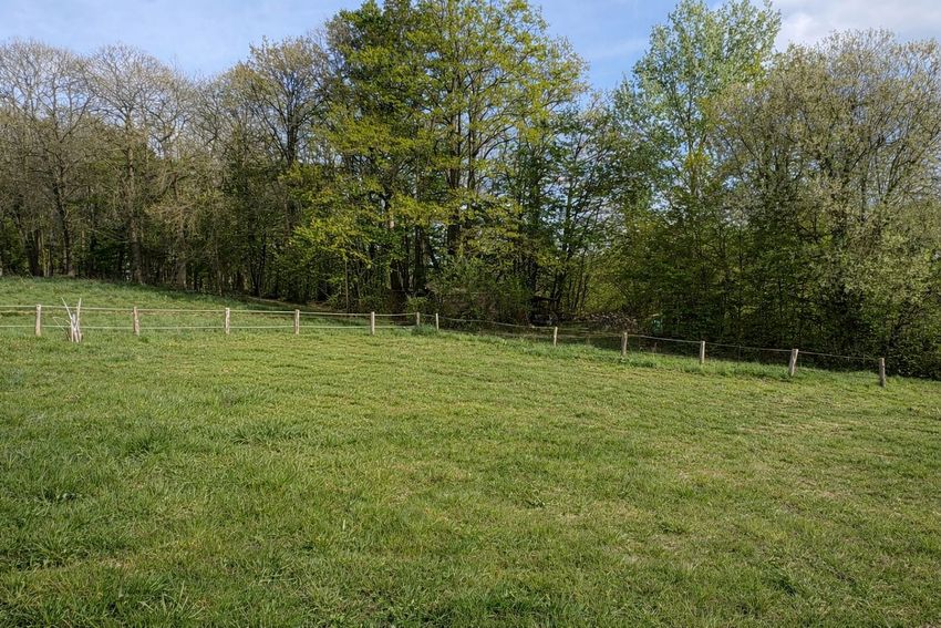 Image de terrain à Betz
