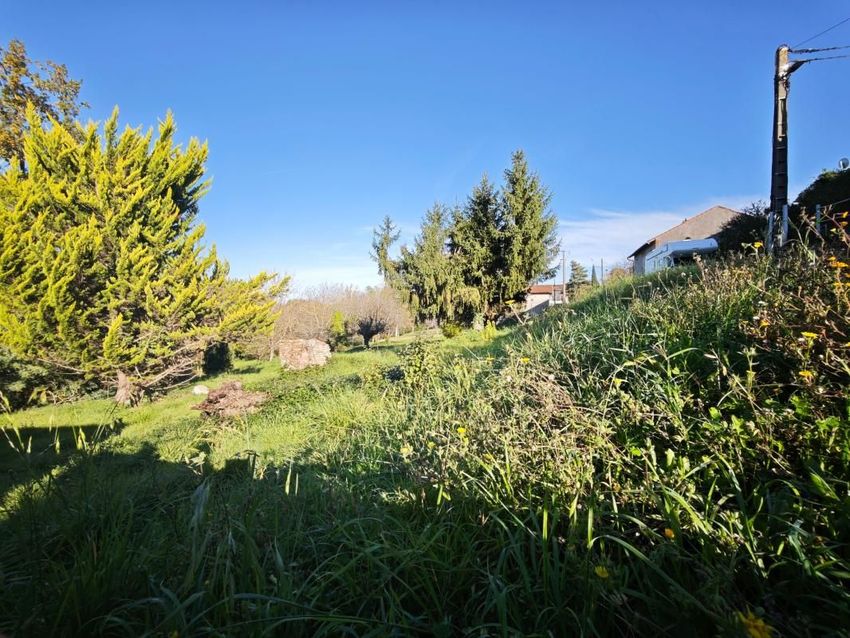 Image de terrain à Saint-Sardos
