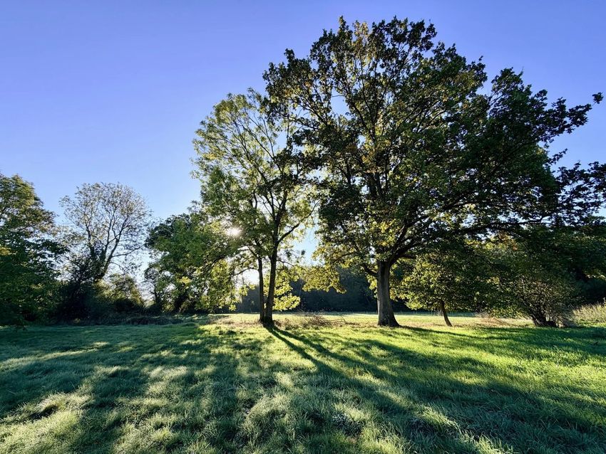 Image de terrain à Saint-Léger-de-Rôtes