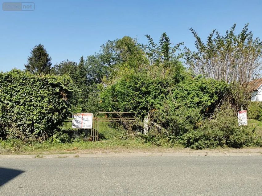 Image de terrain à Boiry-Becquerelle