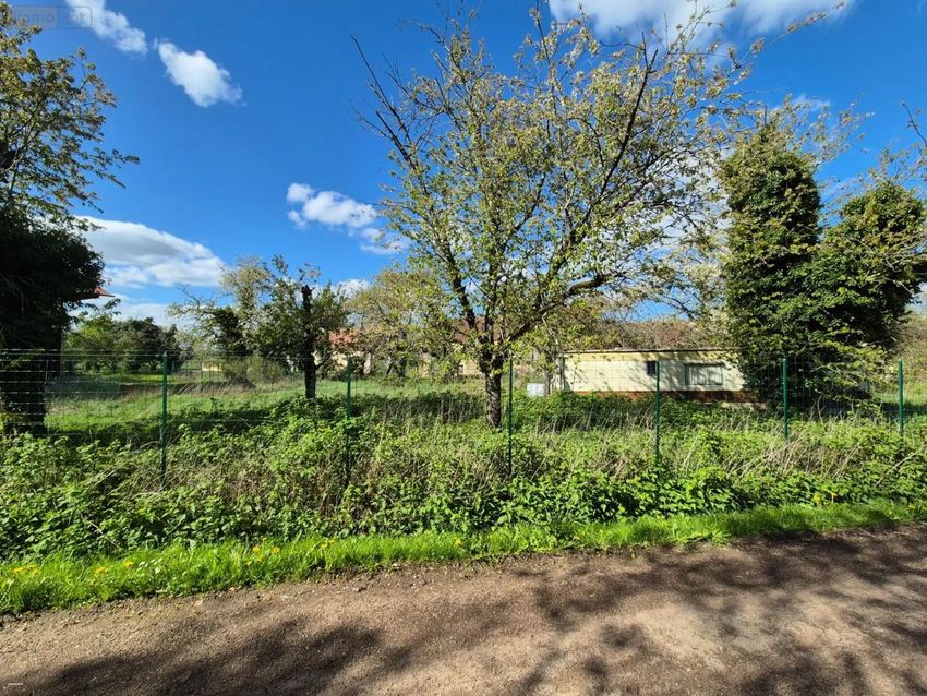 Image de terrain à Sougères-en-Puisaye