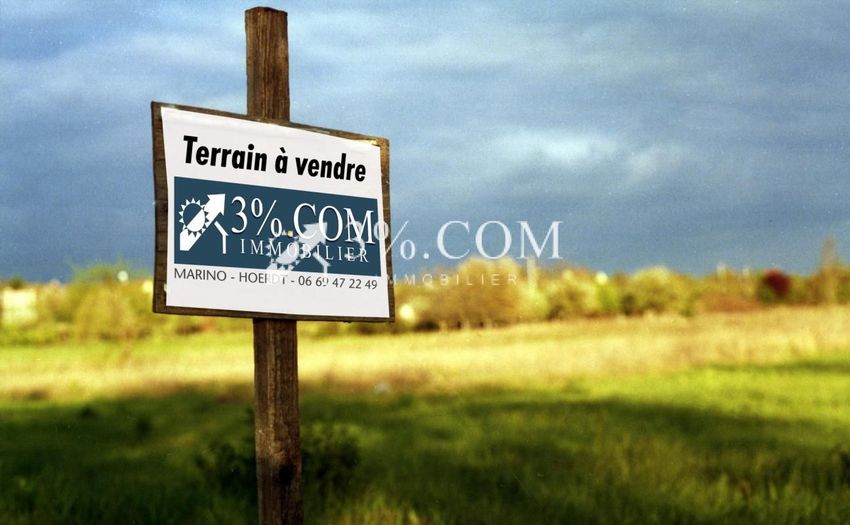 Image de terrain à Rountzenheim-Auenheim