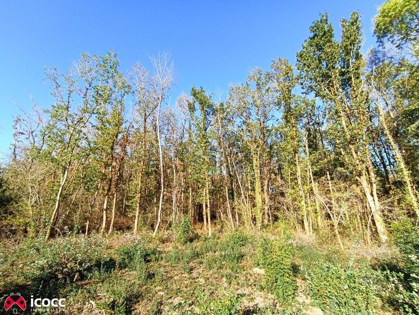 Image de terrain à Mareuil-sur-Lay-Dissais