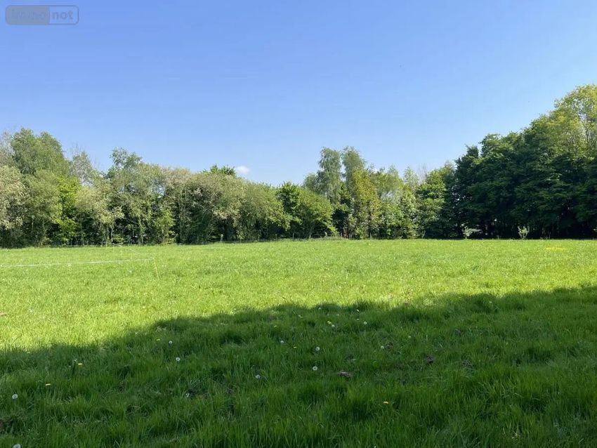 Image de terrain à Taupont