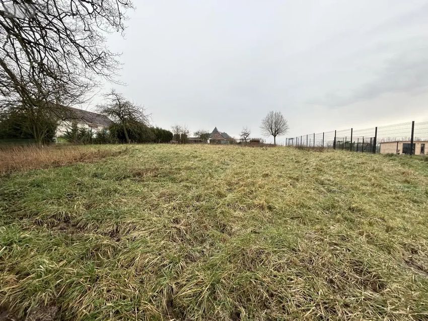 Image de terrain à Louvencourt