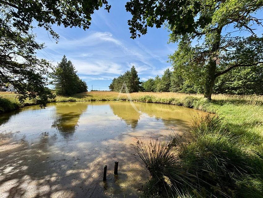 Image de terrain à Chémery