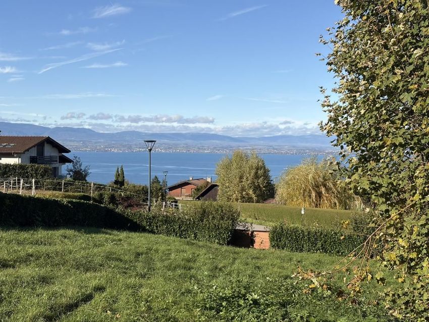 Image Vue à terrain de Neuvecelle