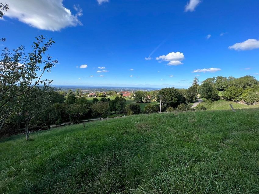 Image de terrain à Plasne