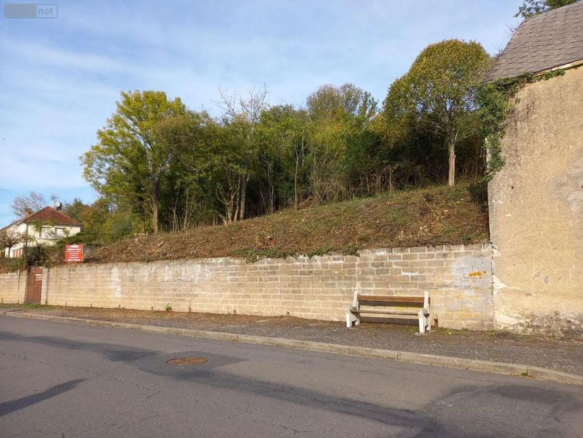 Image de terrain à Châteauneuf-sur-Cher