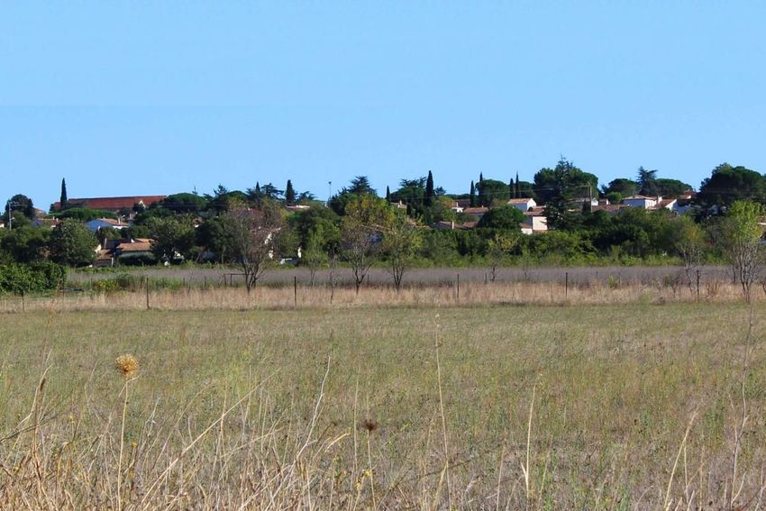 Image de terrain à Bouillargues