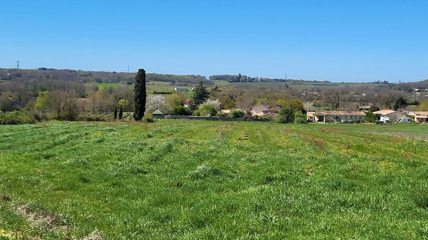 Image de terrain à Les Lèves-et-Thoumeyragues