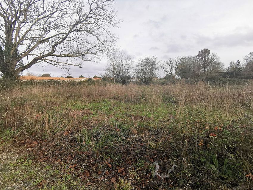Image de terrain à Niort