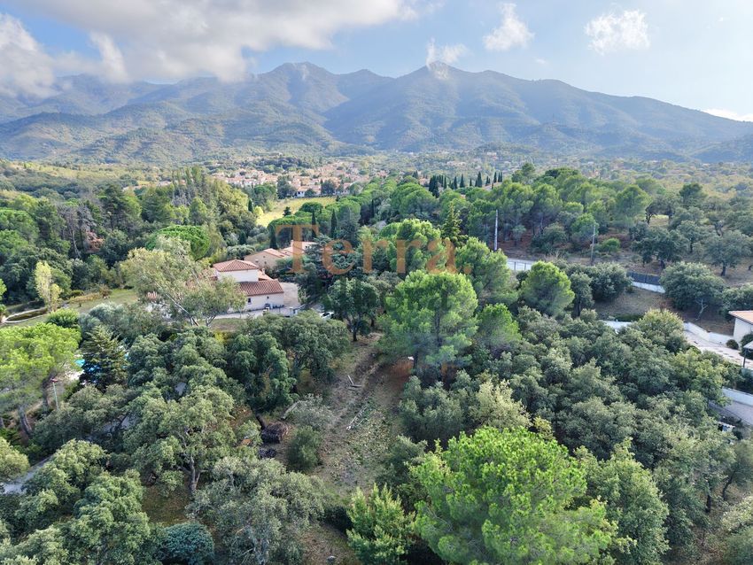Image Vue à terrain de Montesquieu-des-Albères