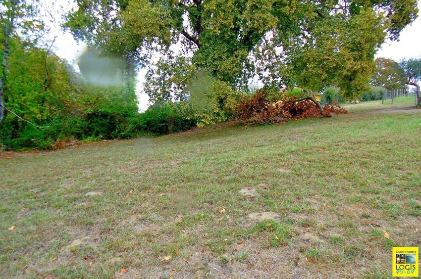 Image de terrain à Saint-Martin-de-Hinx