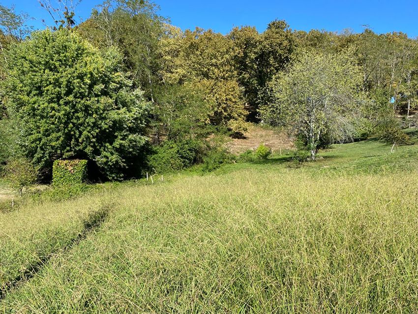 Image de terrain à Salies-de-Béarn