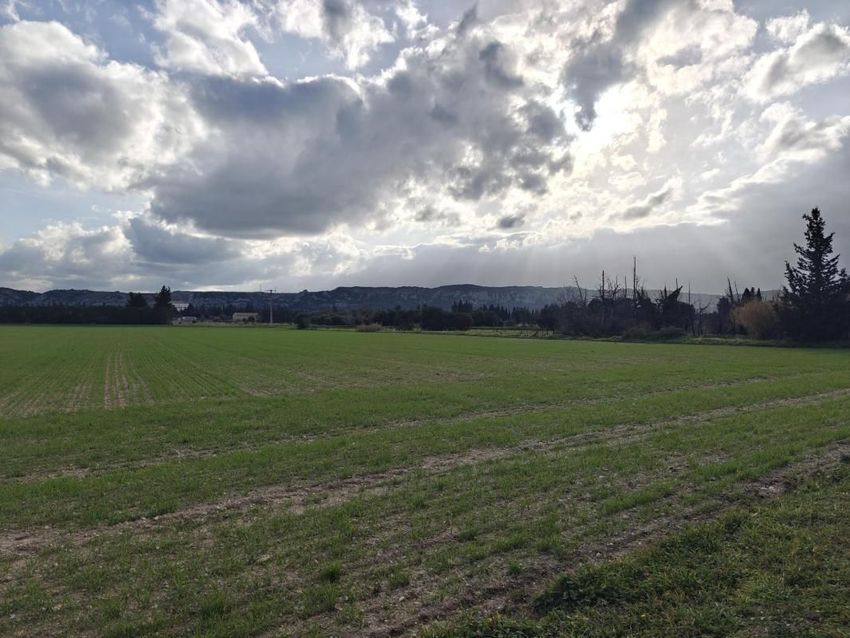 Image de terrain à Montfaucon