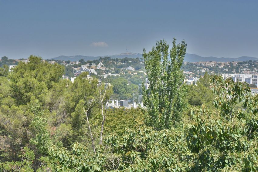 Image Vue à appartement de Marseille 1er Arrondissement